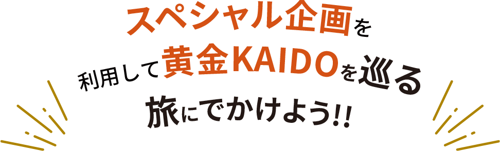 スペシャル企画を利用して黄金KAIDOを巡る旅行にでかけよう!!
